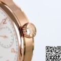 ZF Factory IWC Portugieser IW503504 Rose Gold Watch