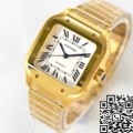 BV Factory Cartier Watch Fake Santos WGSA0030 Gold Watch Case