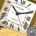 BV Factory Cartier Watch Fake Santos WGSA0030 Gold Watch Case