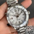 Omega Seamaster White Dial VS Factory 215.30.40.20.04.001